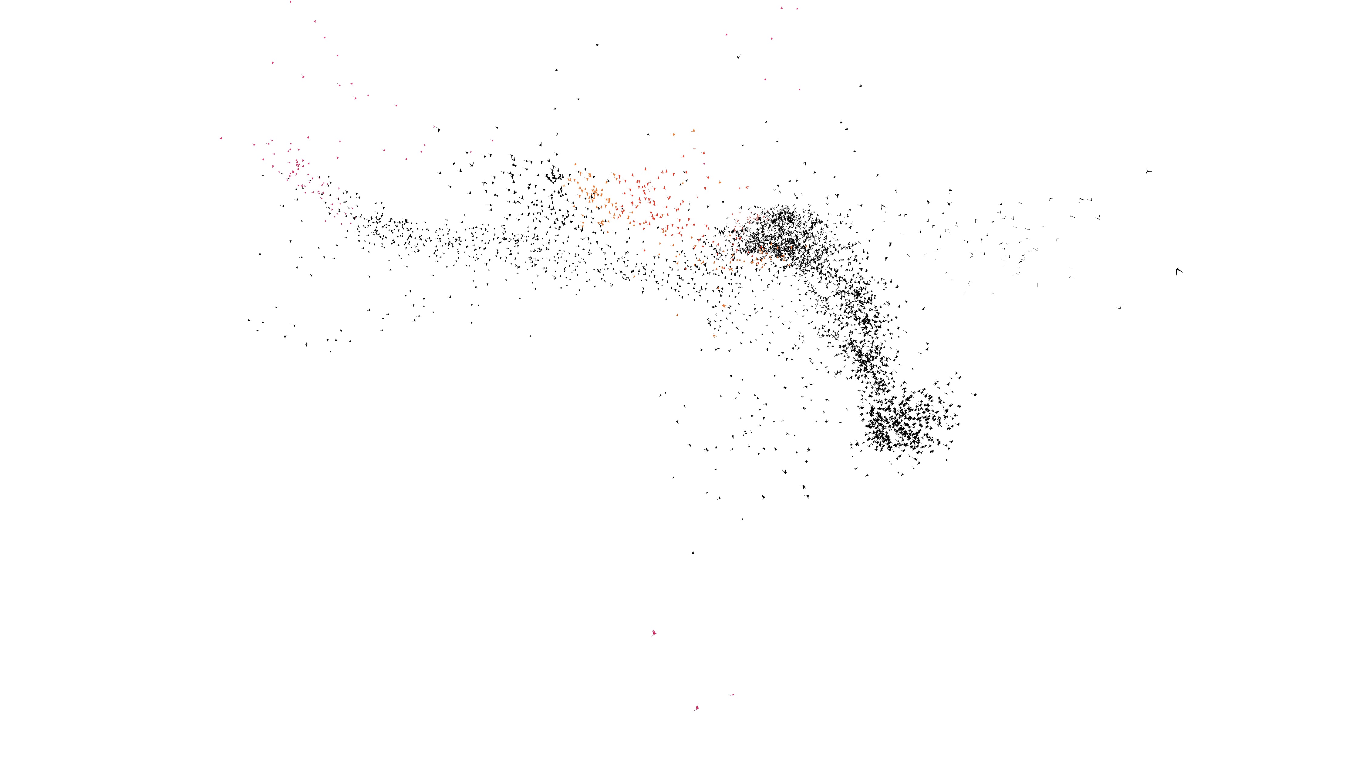 Die Murmuration App in Aktion