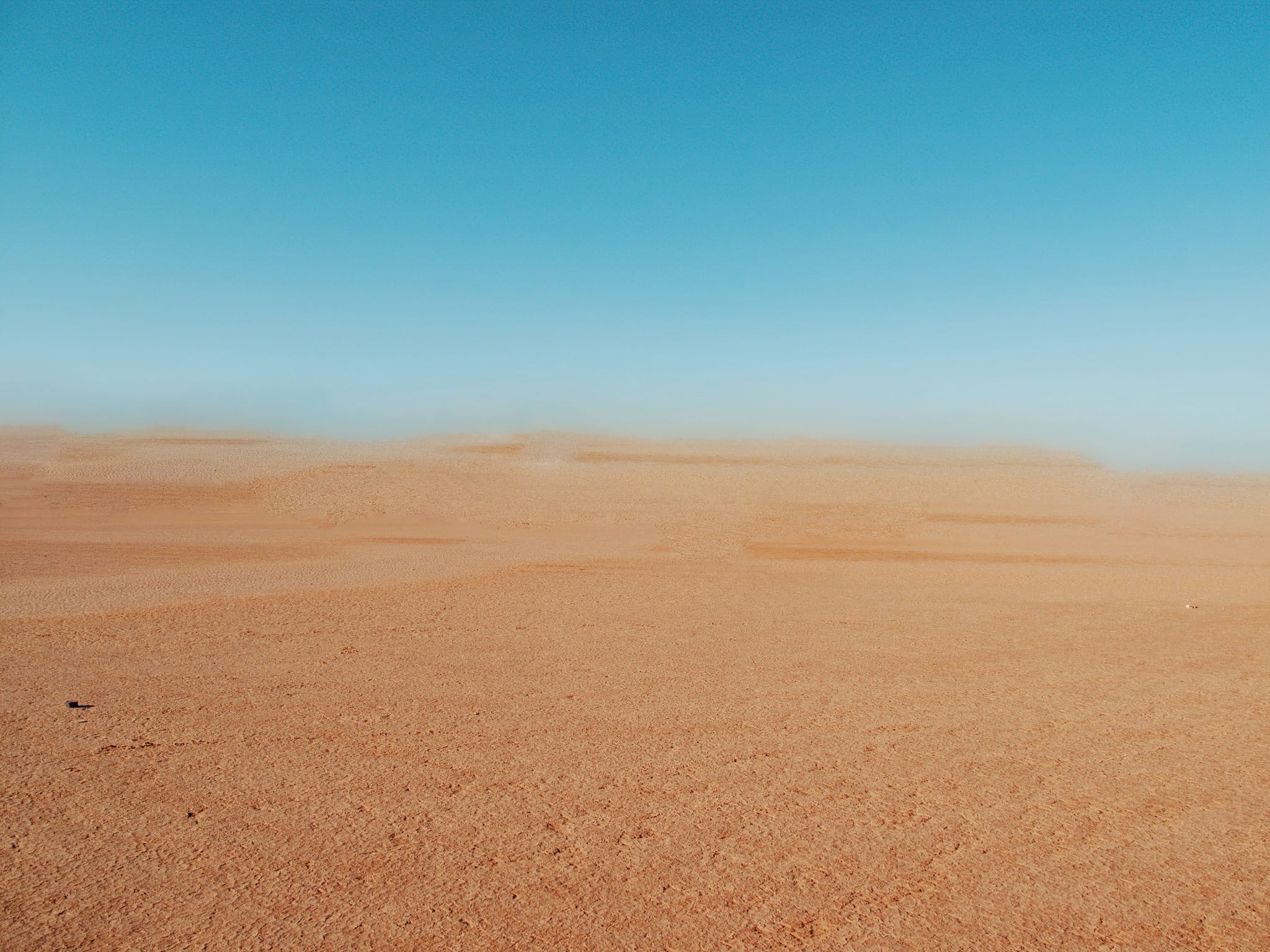 „(No) Horizons Nr. 8“
