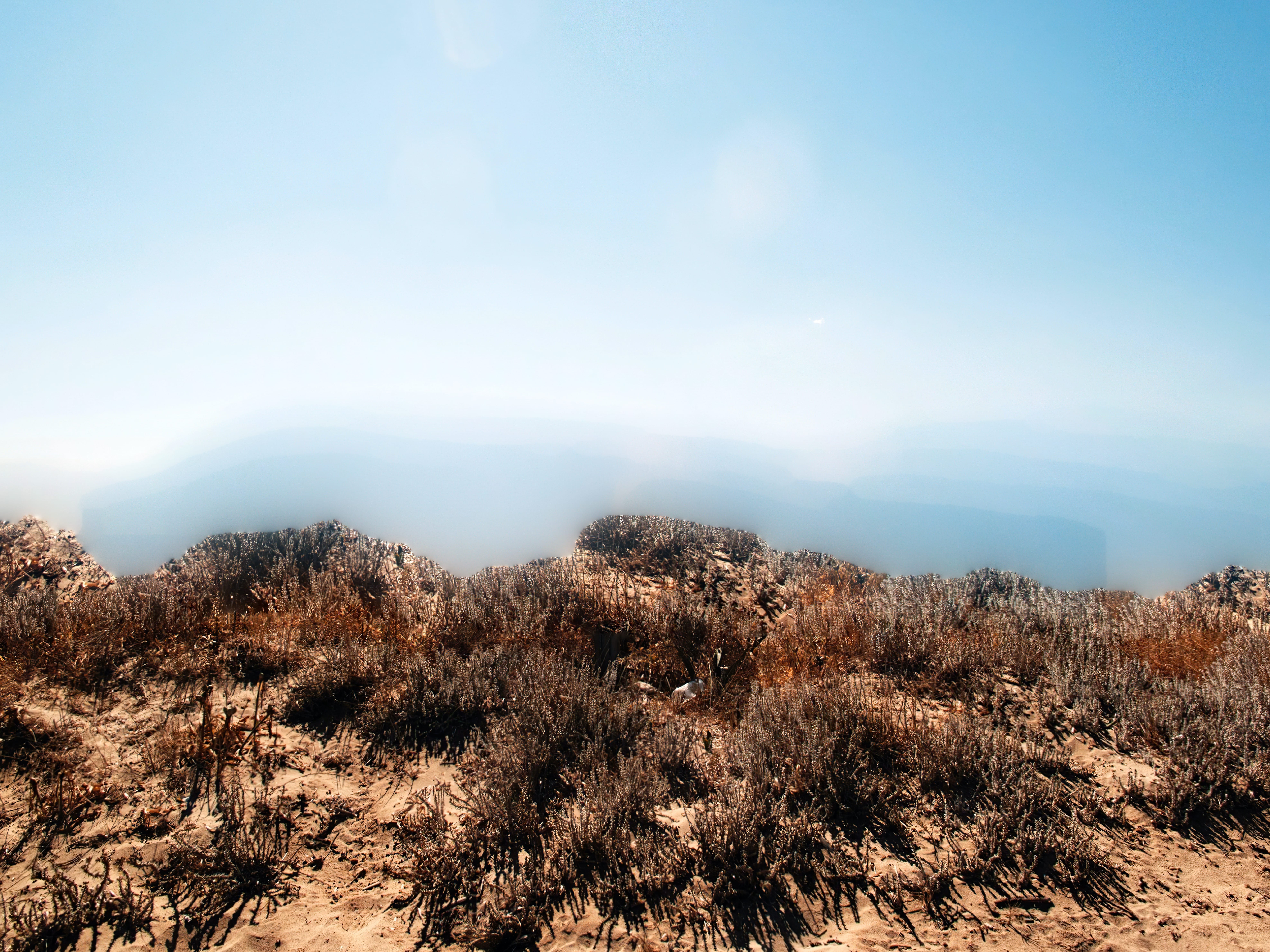 „(No) Horizons Nr. 12“