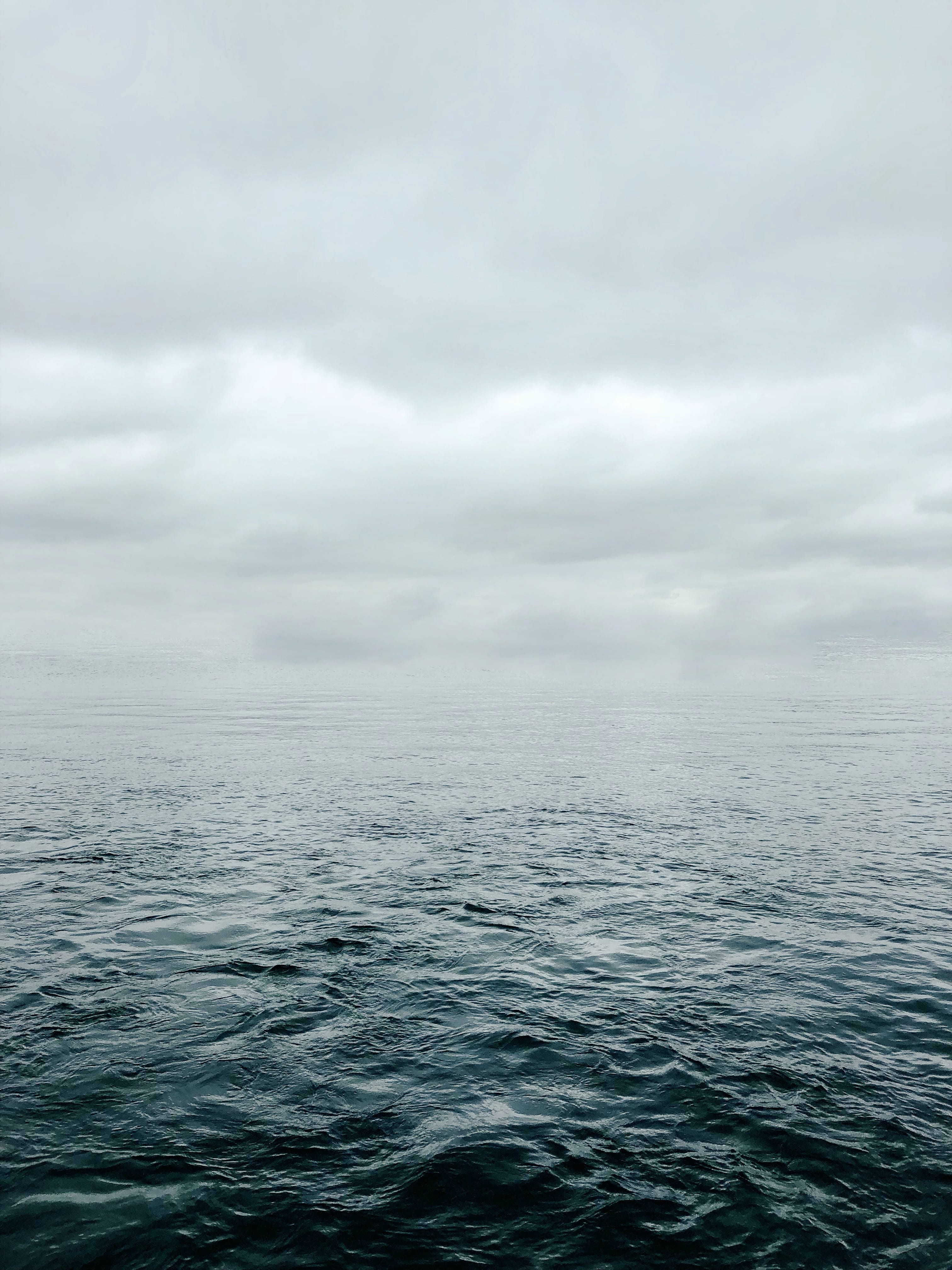 „(No) Horizons Nr. 21“