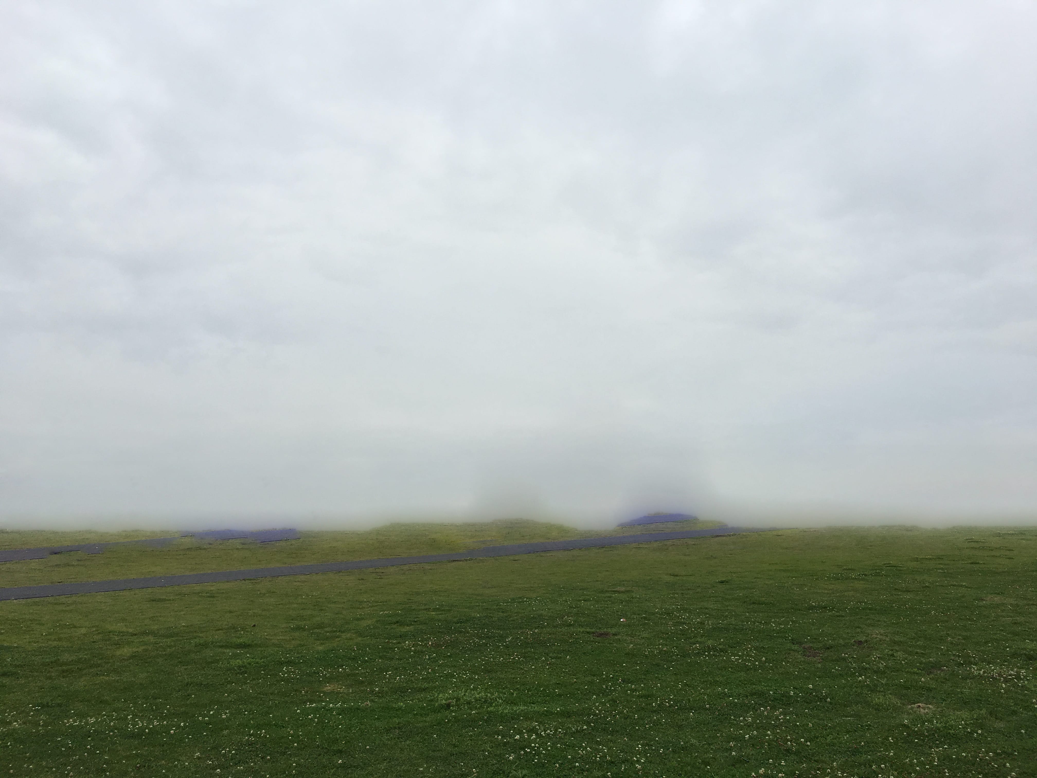 „(No) Horizons Nr. 24“