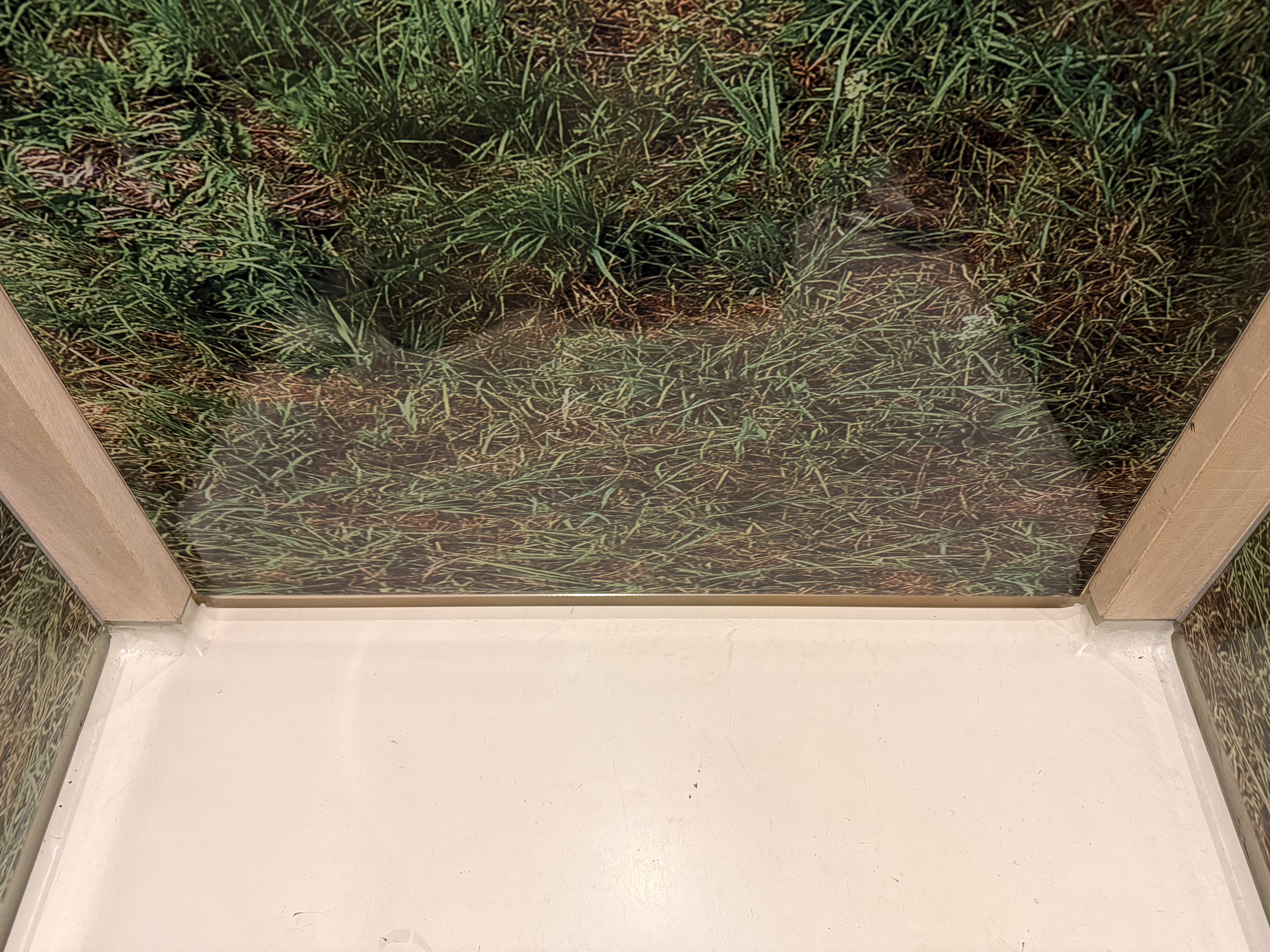 Toilettentüren Nr. 289: „2theloo Hoog Cathrijne“, Utrecht / Niederlande (2025)
